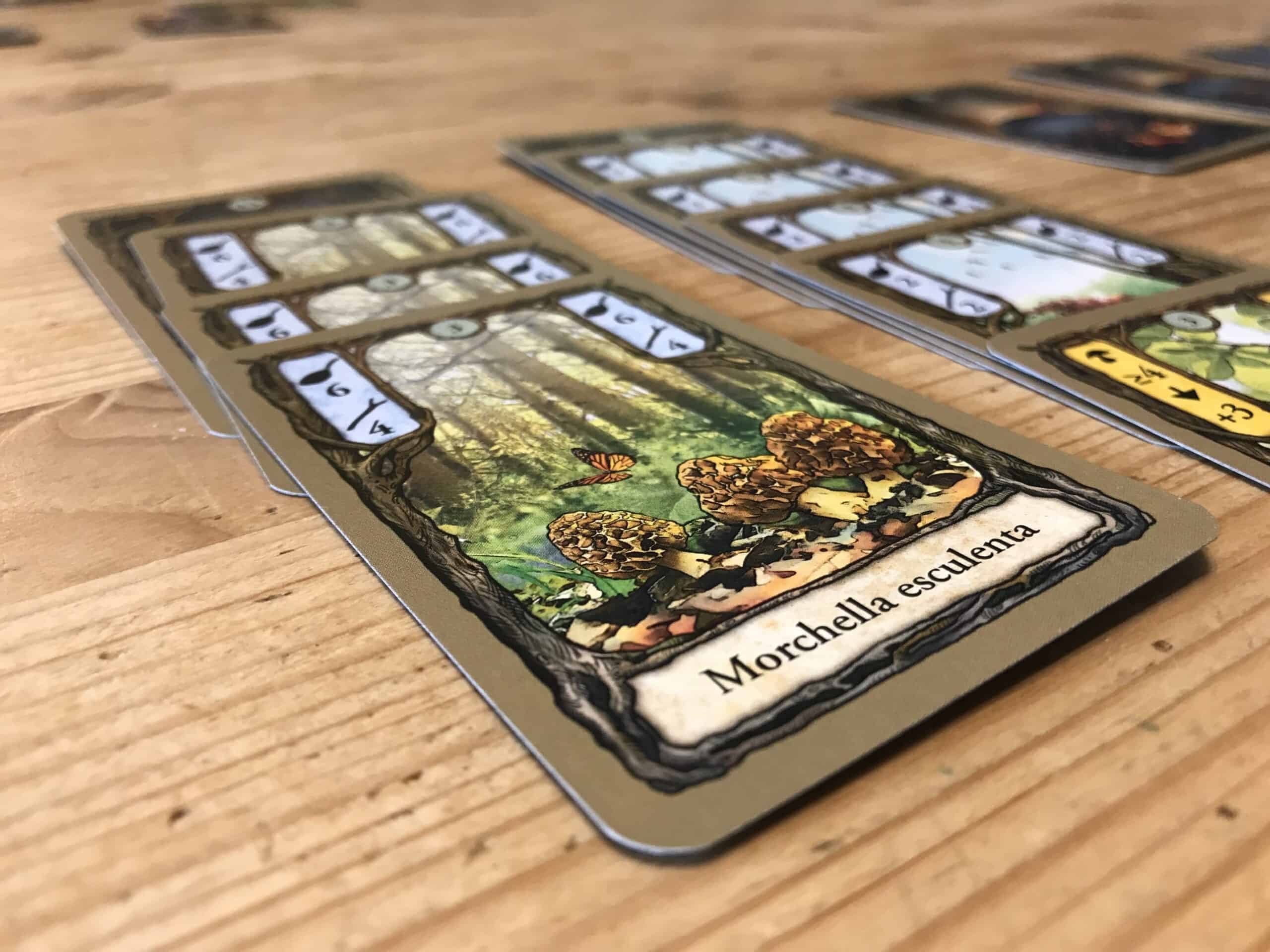 Fungi Card Game Guide - Dice n Board